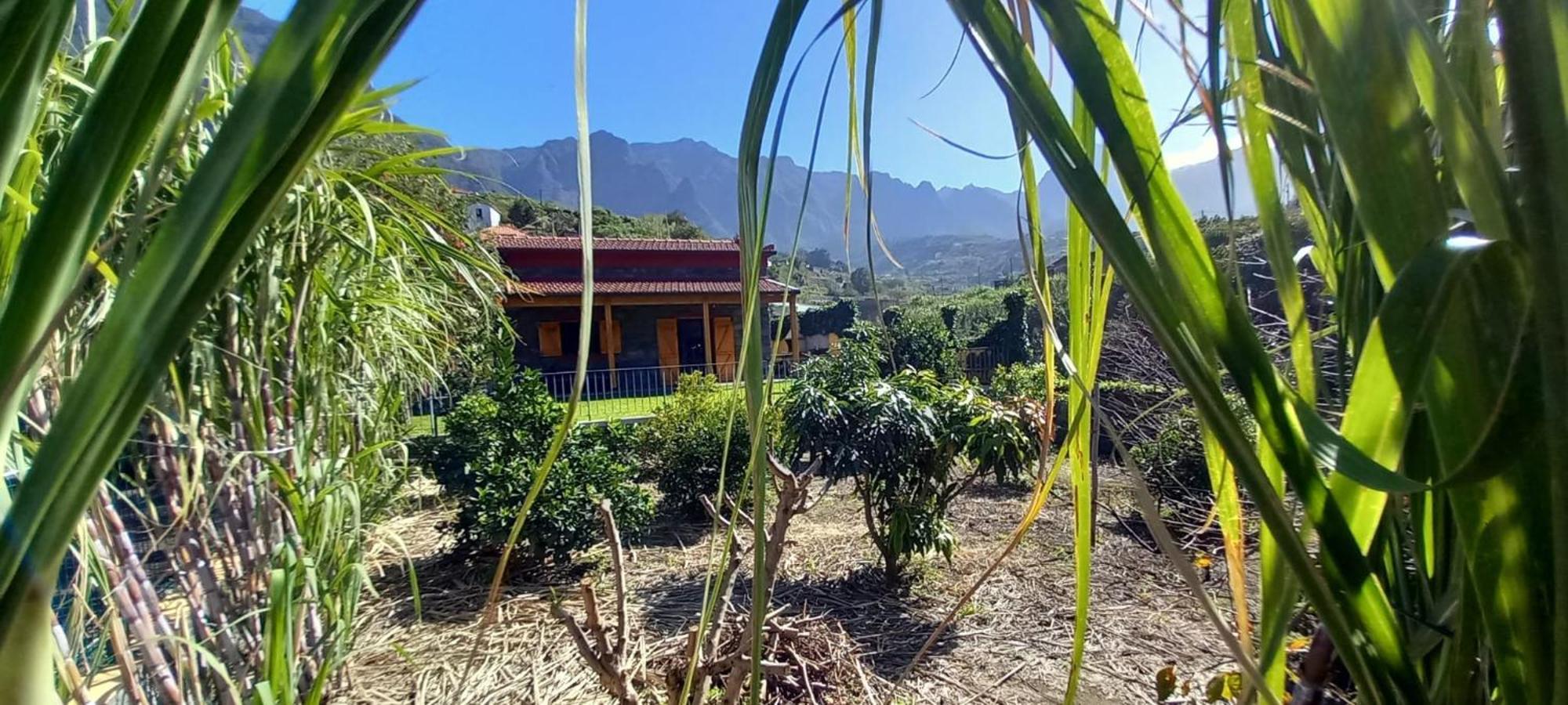 Refugio Do Limoeiro Villa Sao Vicente  Luaran gambar