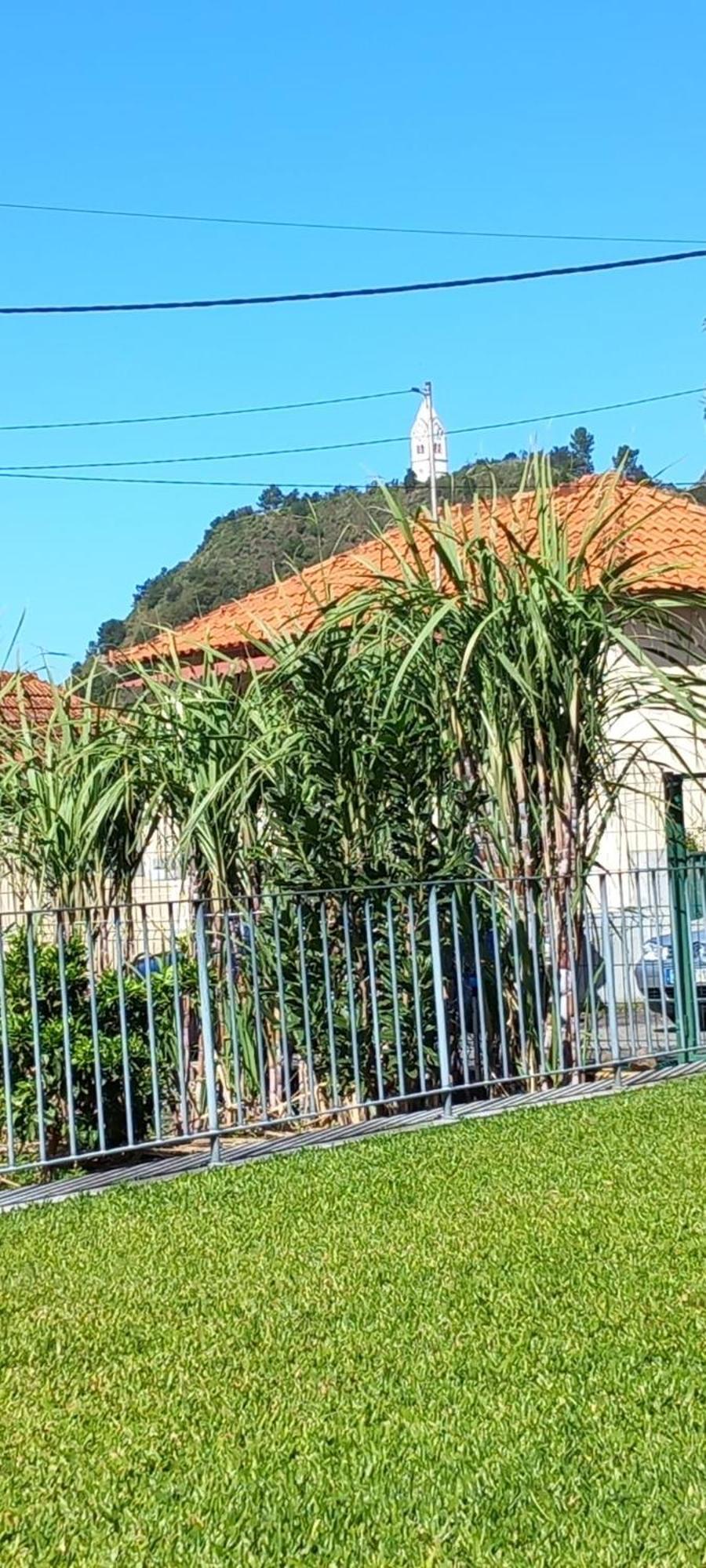 Refugio Do Limoeiro Villa Sao Vicente  Luaran gambar